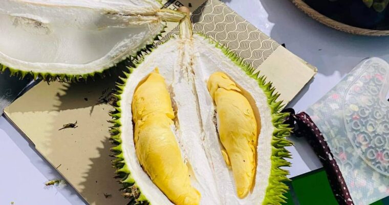 Kick off the durian paste season for moon cake festival 2022